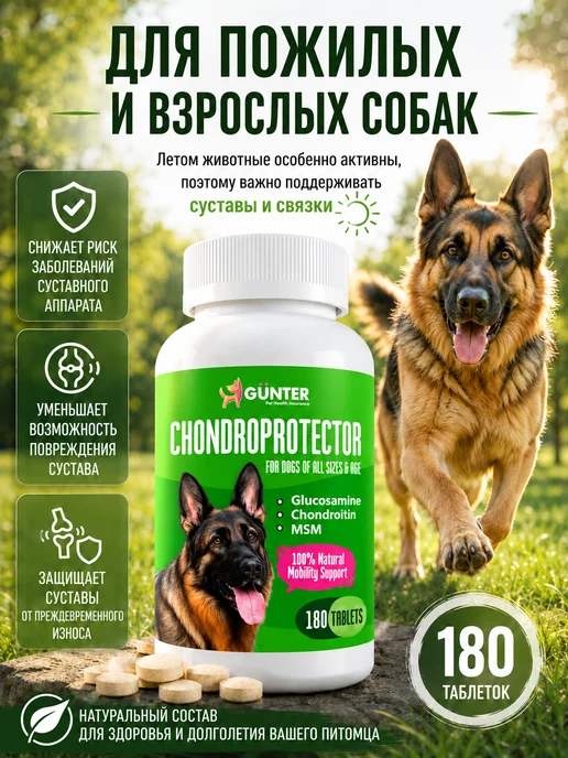 Günter Витамины для собак хондропротекторы, вариант, фото 2