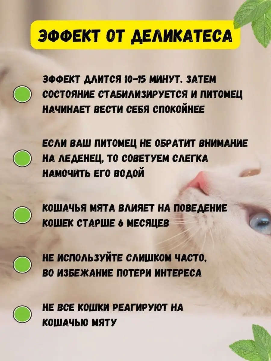 Кошачья мята игрушка для кошек мятный шарик кошачий леденец ValeVika  147085671 купить в интернет-магазине Wildberries