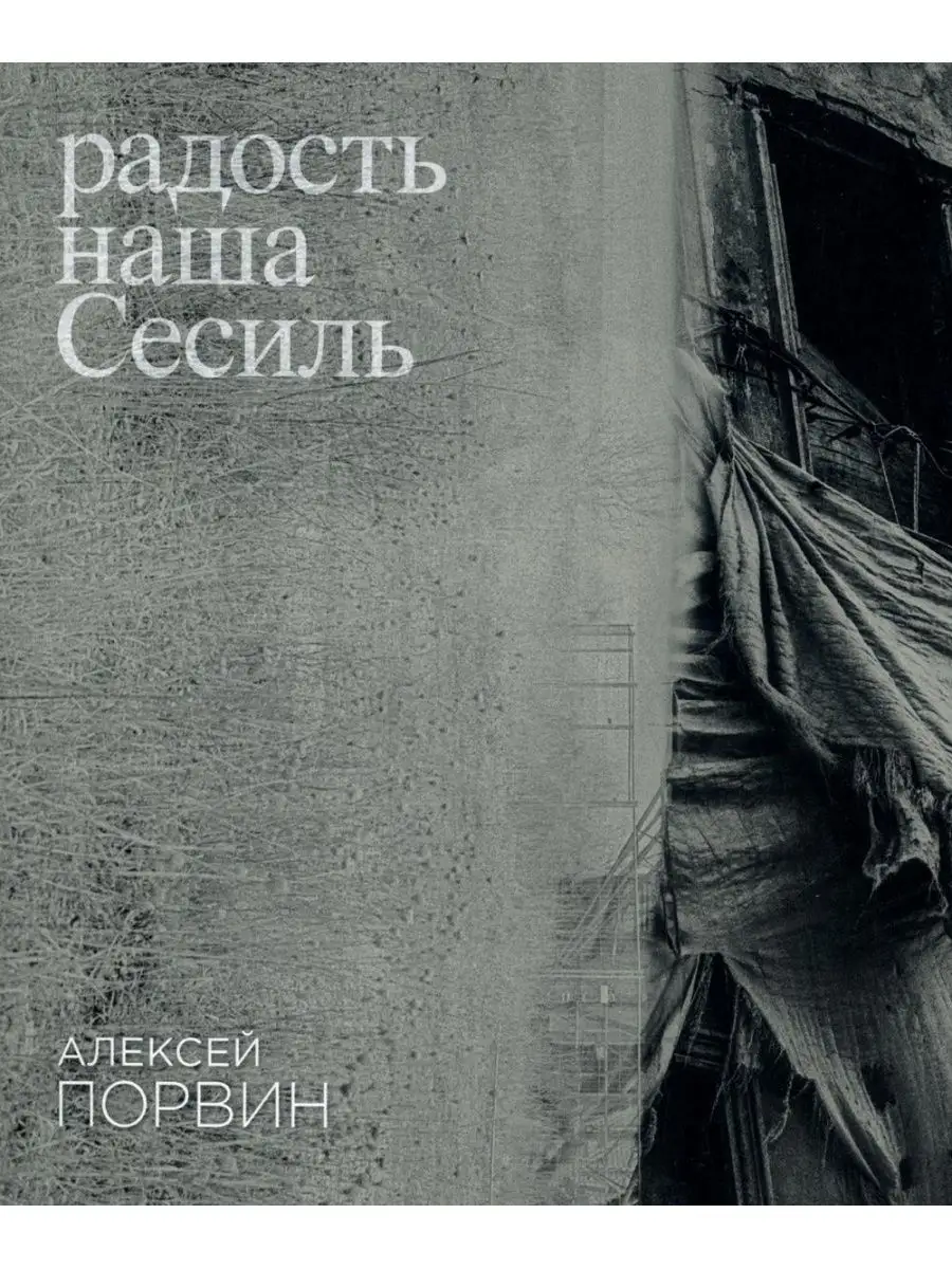 Радость наша Сесиль: стихотворения и поэма Издательство Ивана Лимбаха  147095655 купить за 590 ₽ в интернет-магазине Wildberries