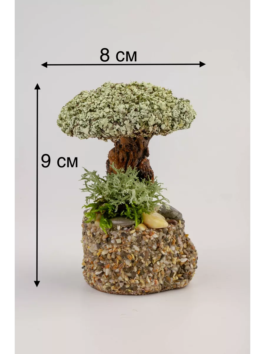 Живое дерево из исландского мха Цетрария красавчик большой лавка волшебницы  147110898 купить в интернет-магазине Wildberries