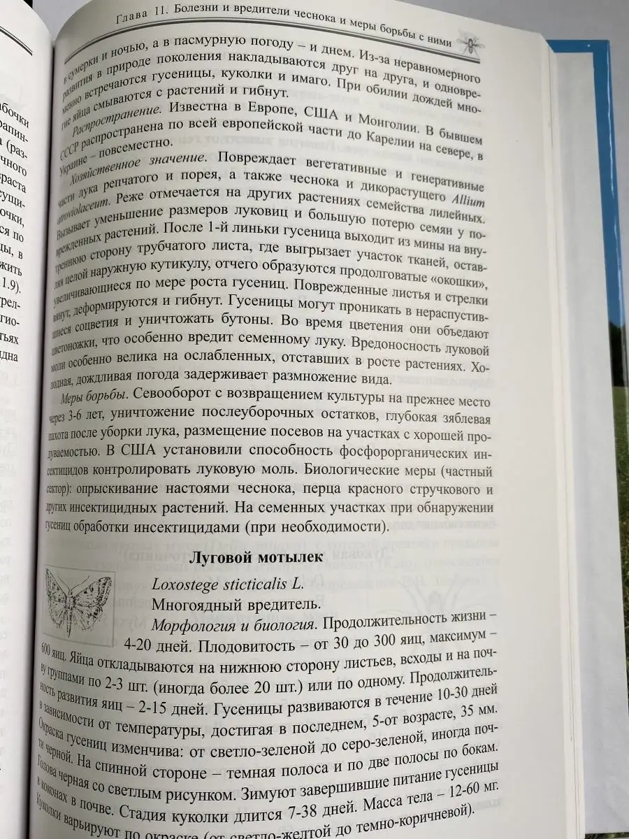 30 лет  частное Чеснок: биология, технология, экономика Наша идея 147119134 купить за 926 ₽  в интернет-магазине Wildberries