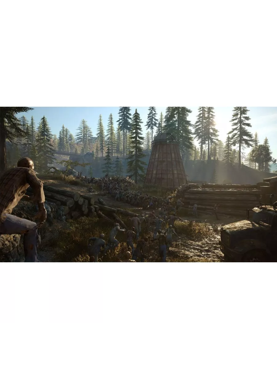 Жизнь после Days Gone Русская версия PS4 Диск Игра PS4/PS5 147132339 купить  за 4 605 ₽ в интернет-магазине Wildberries