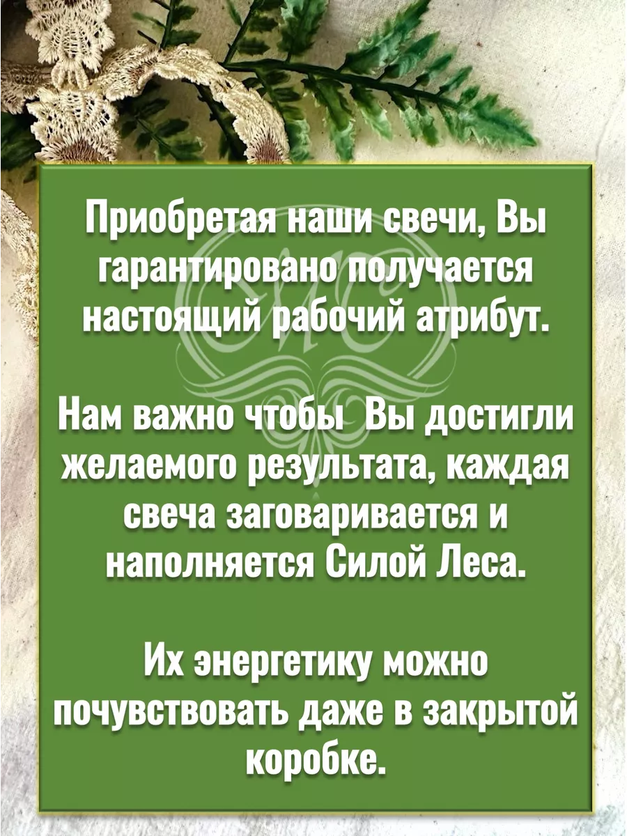 Сжигание крадников на красоту Лесная Кладовая Аники 147135987 купить за 735  ₽ в интернет-магазине Wildberries