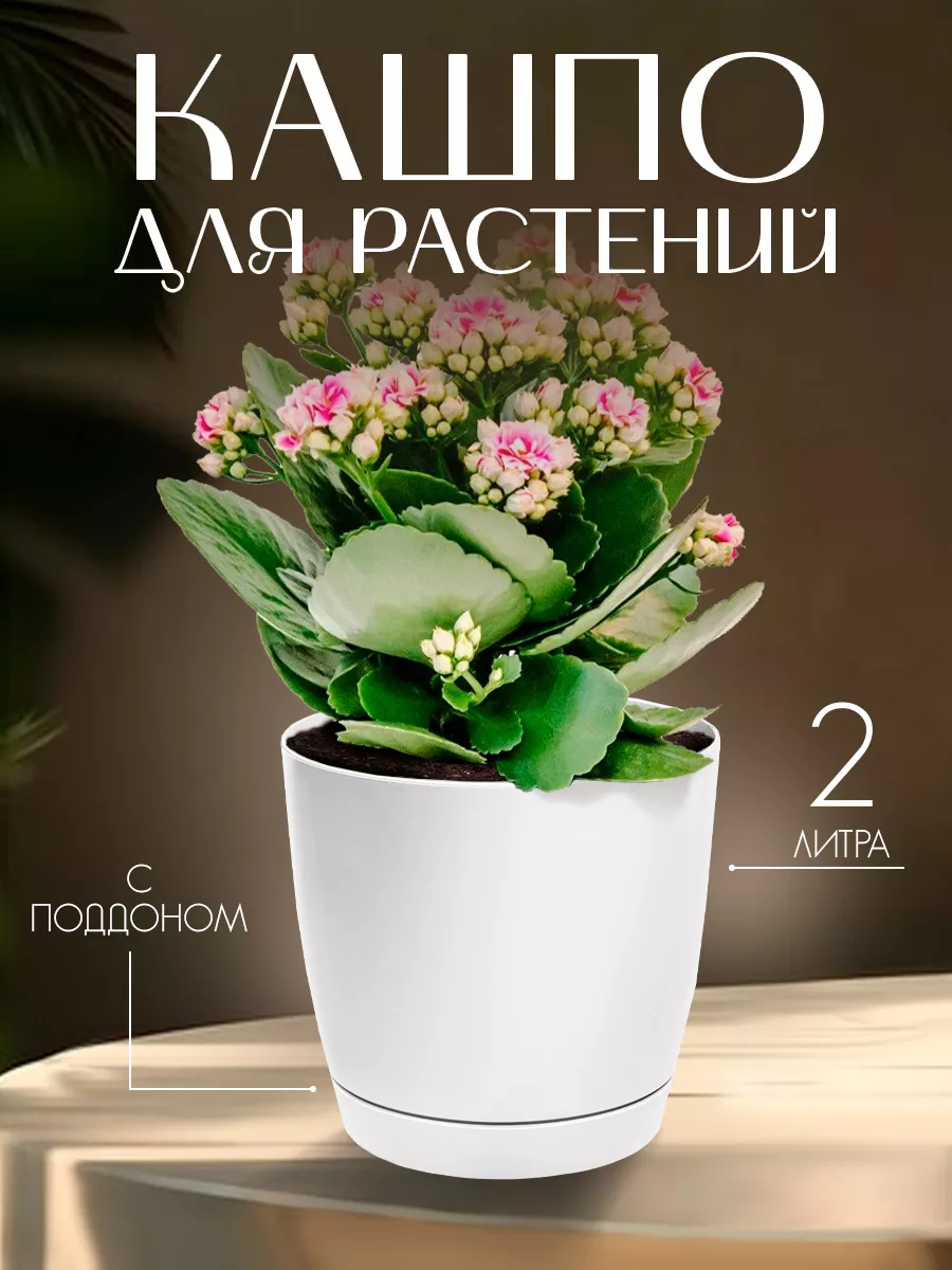 Горшок для цветов пластиковый на 2 л