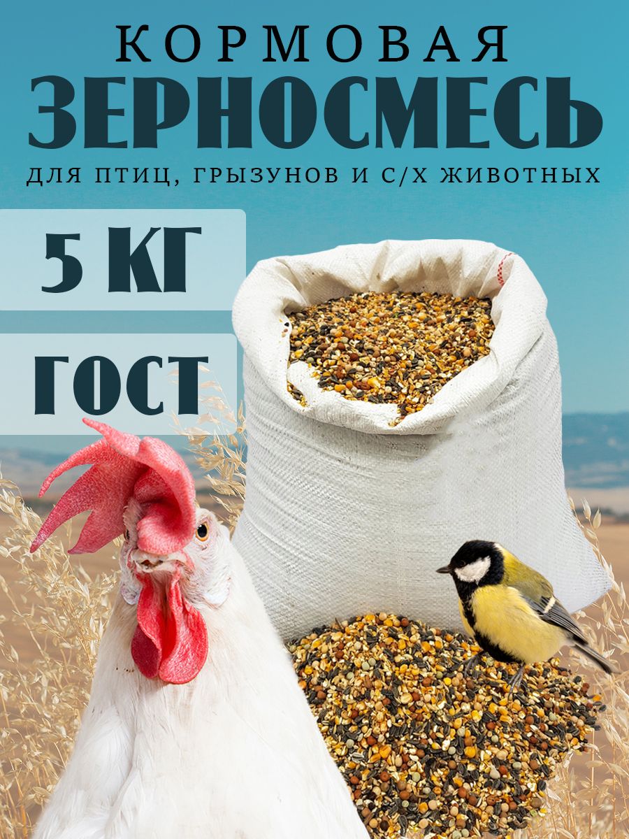 Корм для кур-несушек, птиц и грызунов зерновой 5 кг KORMIS 147187156 купить  за 351 ₽ в интернет-магазине Wildberries