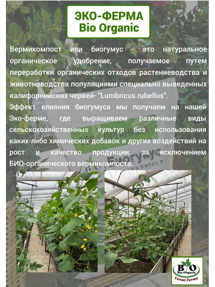 Биогумус жидкий органический универсальный для растений Bio Organic  147205086 купить за 214 ₽ в интернет-магазине Wildberries