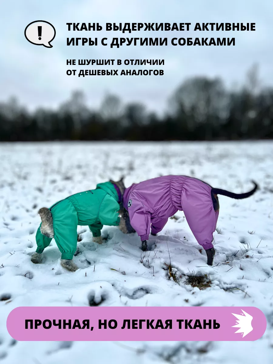 Комбинезон зимний для собак средних пород SNOW Rain Dog 147284709 купить за  3 705 ₽ в интернет-магазине Wildberries