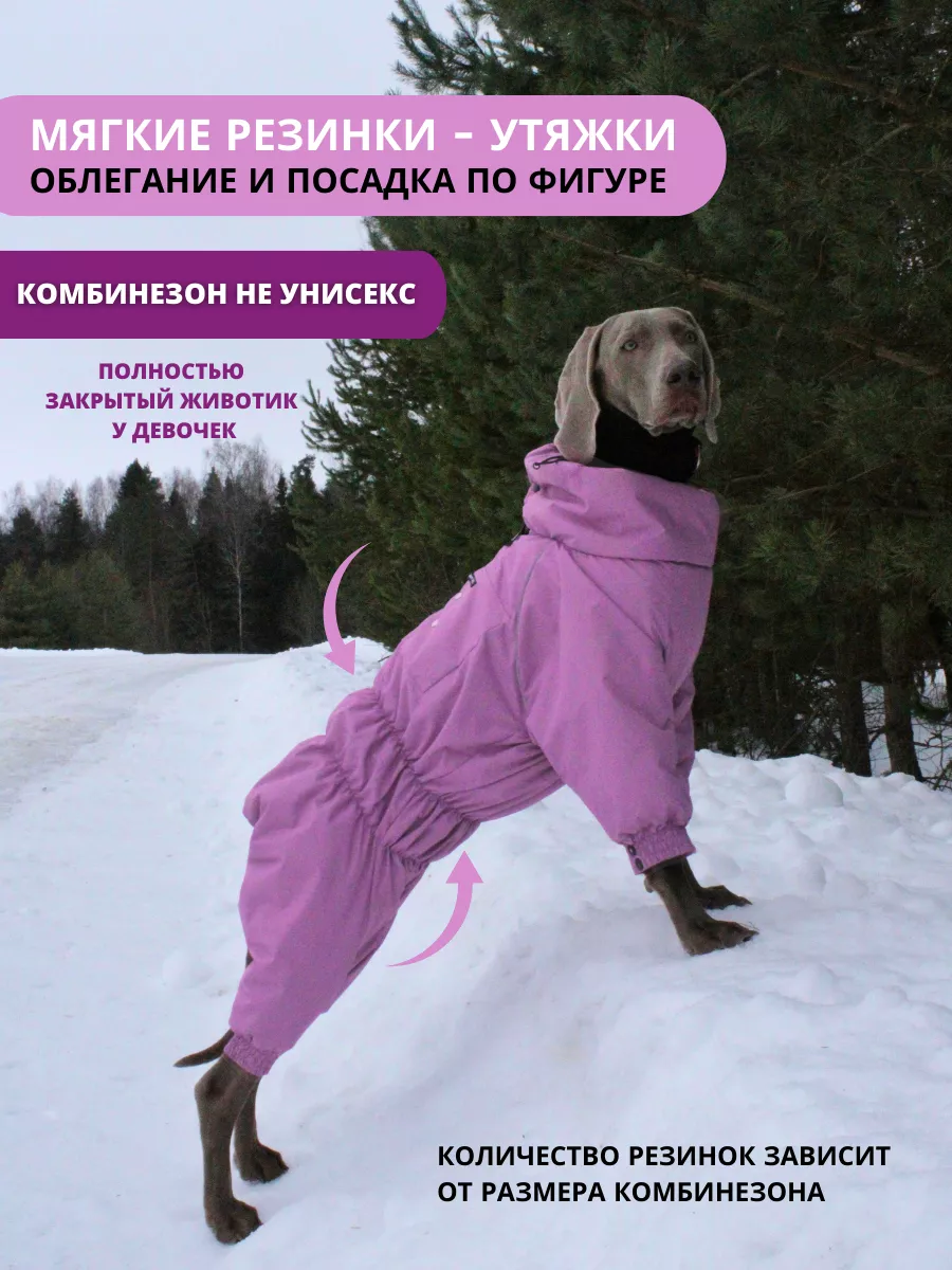 Комбинезон зимний для собак средних пород SNOW Rain Dog 147284709 купить за  3 705 ₽ в интернет-магазине Wildberries