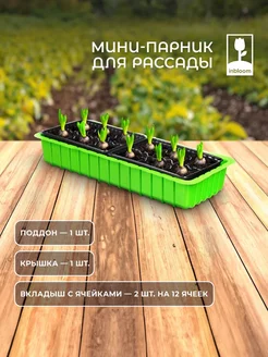 Минипарник для рассады 12 ячеек Гала-Центр 147303818 купить за 161 ₽ в интернет-магазине Wildberries