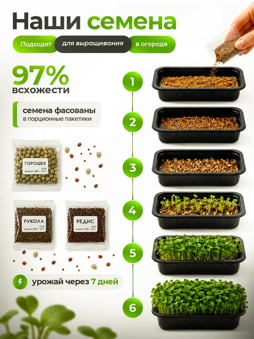 FOREST GREEN набор для выращивания микрозелени семена на микрозелень, зеленый, фото 2