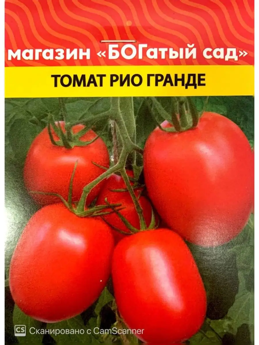 Рио Гранде Томат Описание Фото Отзывы
