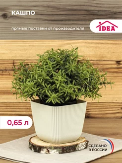 Кашпо,горшок для цветов и суккулентов 0,65л Idea 147330030 купить за 268 ₽ в интернет-магазине Wildberries