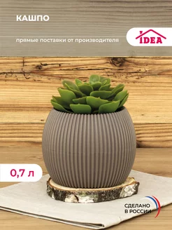 Кашпо для цветов и суккулентов,горшок 0,7л Idea 147333882 купить за 284 ₽ в интернет-магазине Wildberries