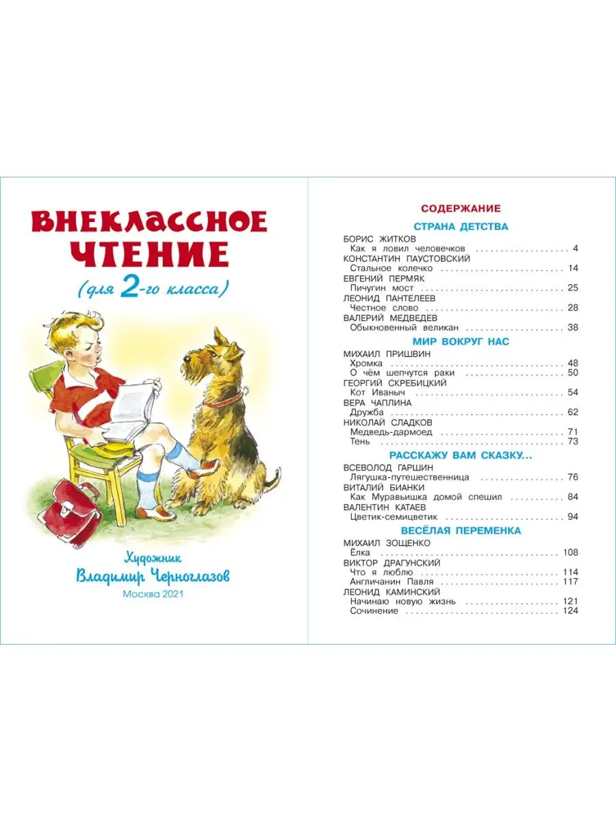 Внеклассное чтение. 2 класс. Школьная библиотека Издательство Самовар  147337241 купить за 240 ₽ в интернет-магазине Wildberries