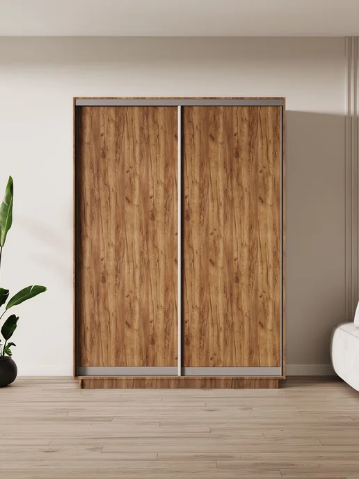Мебельная компания Е1 Шкаф купе Экспресс 2дв ДСП, 120х60х220, 120x60x220, фото 2