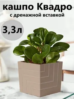 Горшок для цветов кашпо напольное с автополивом 3 л Live-in-green 147499068 купить за 428 ₽ в интернет-магазине Wildberries