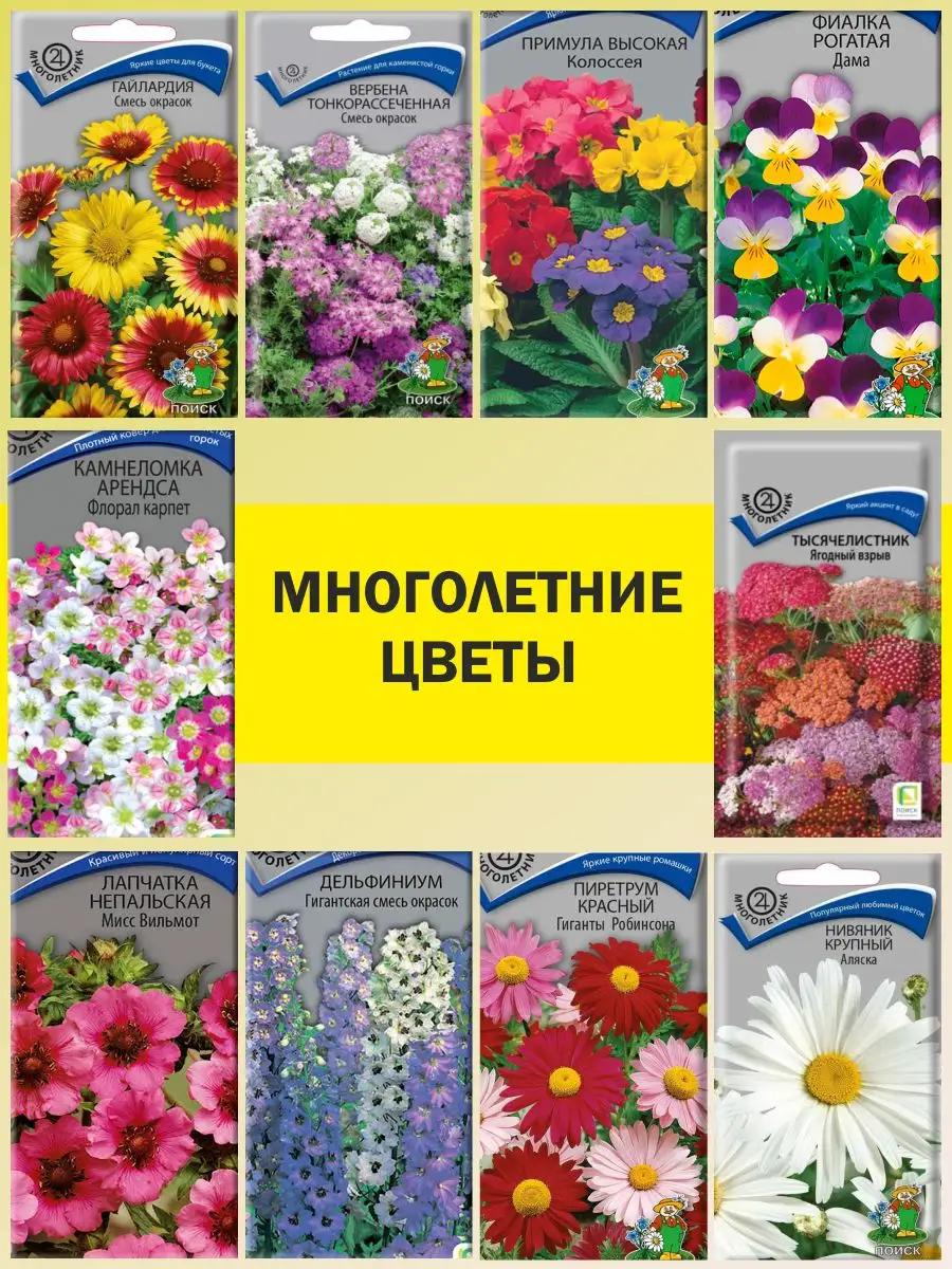 Многолетние цветы для дачи (95 фото): виды и уход