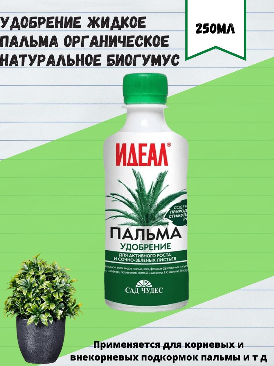 Пальма фикус удобрение