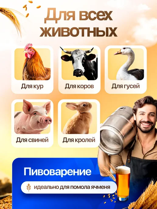 Фермер Зернодробилка электрическая для зерна кормоизмельчитель, вариант, фото 3