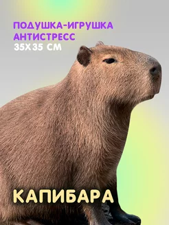 Капибара игрушка антистресс ALLLO 147582783 купить за 889 ₽ в интернет-магазине Wildberries