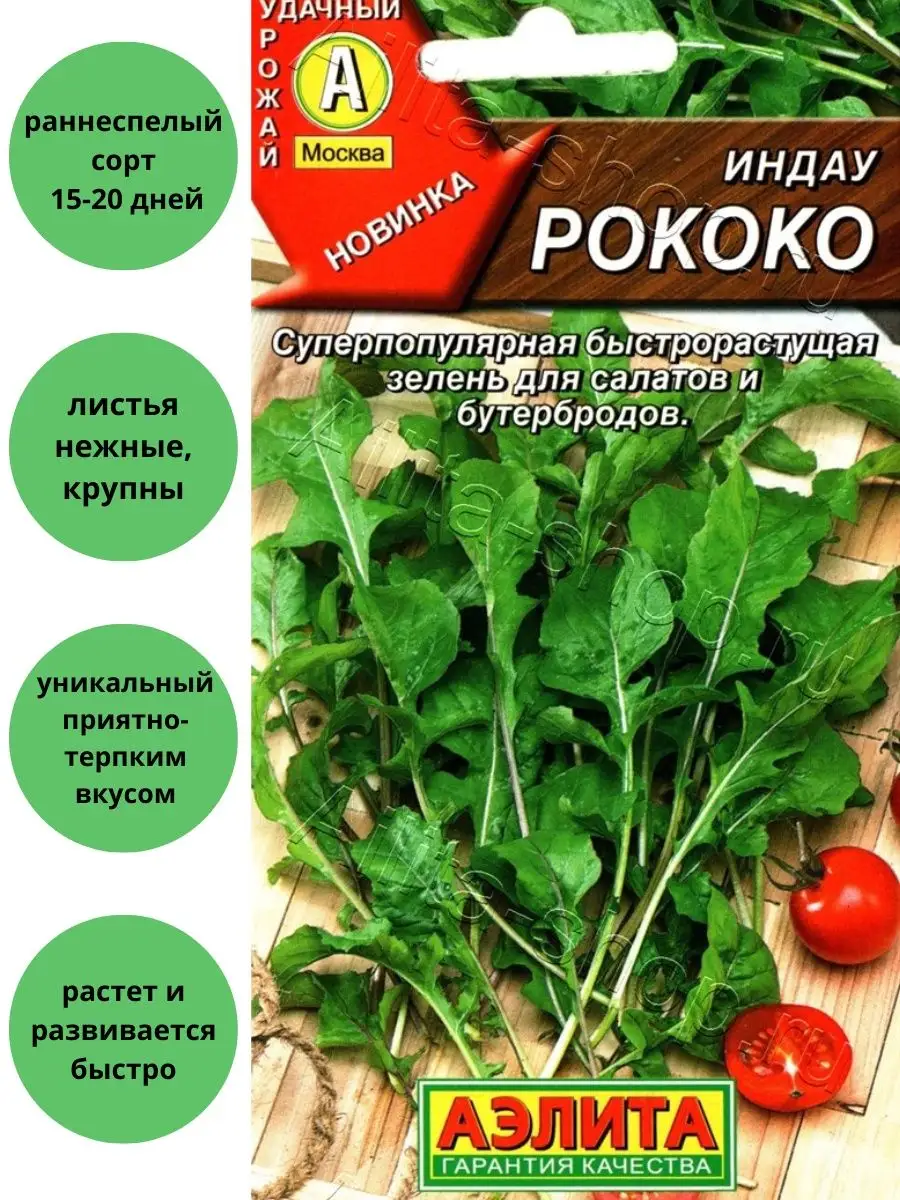 Индау (руккола) Рококо