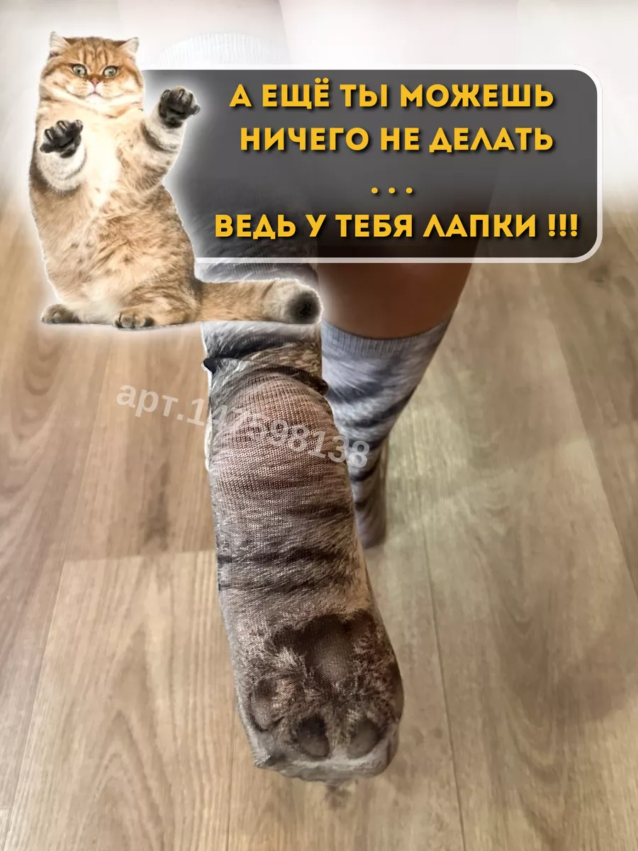 Одежда для кошек: зачем нужка и как приучить кошку к костюмам