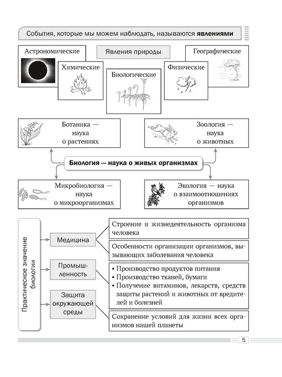 Биология 6 класс Опорные конспекты Схемы и таблицы Аверсэв 147599407 купить  за 232 ₽ в интернет-магазине Wildberries