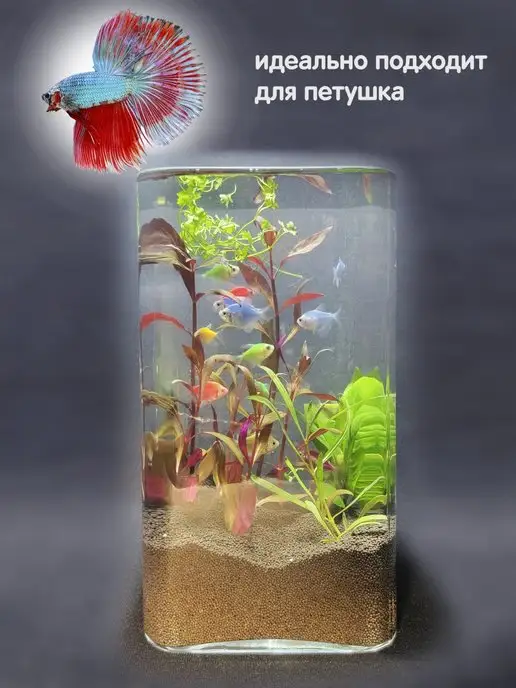 BOBOLING Аквариум 4.5 л прямоугольная колонна, 4,5 л, фото 4