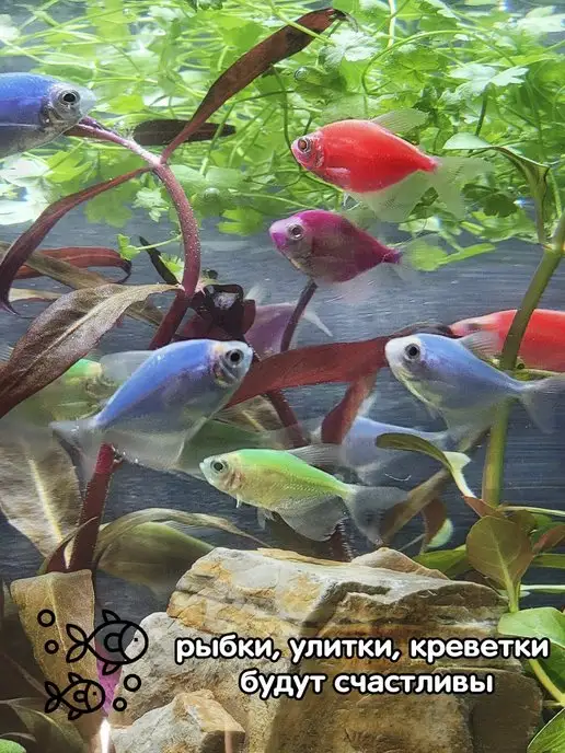 BOBOLING Аквариум 4.5 л прямоугольная колонна, 4,5 л, фото 7