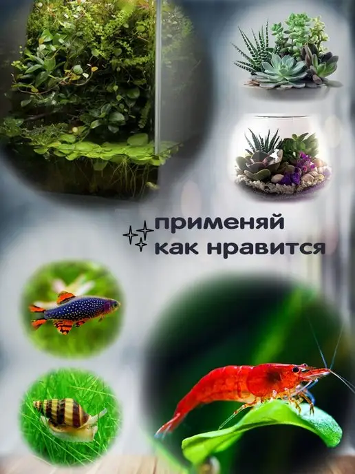 BOBOLING Аквариум 4.5 л прямоугольная колонна, 4,5 л, фото 8