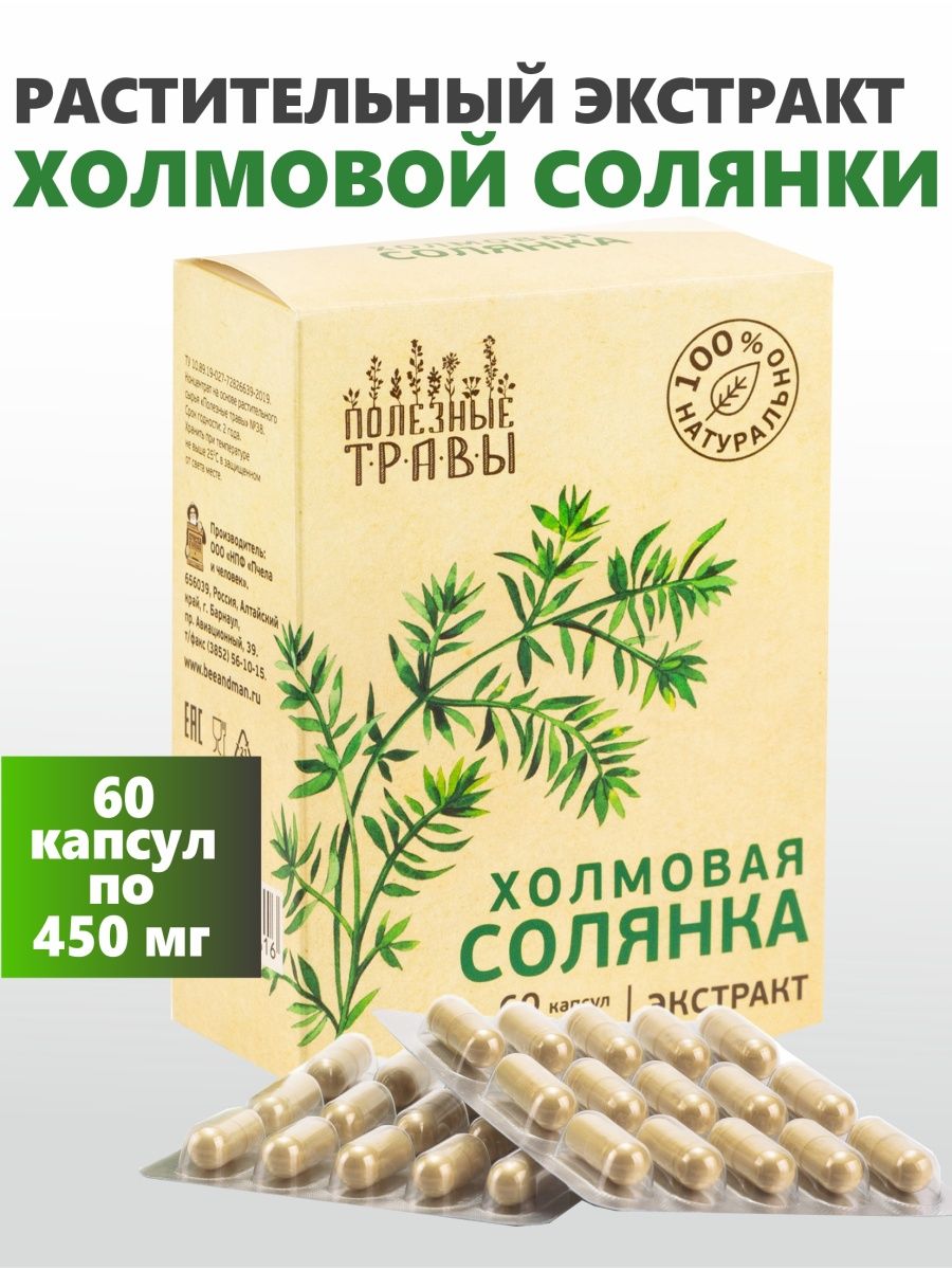 Солянка холмовая от чего. Солянка холмовая. Солянка холмовая в капсулах. Солянка холмовая для печени. Солянка холмовая фото.