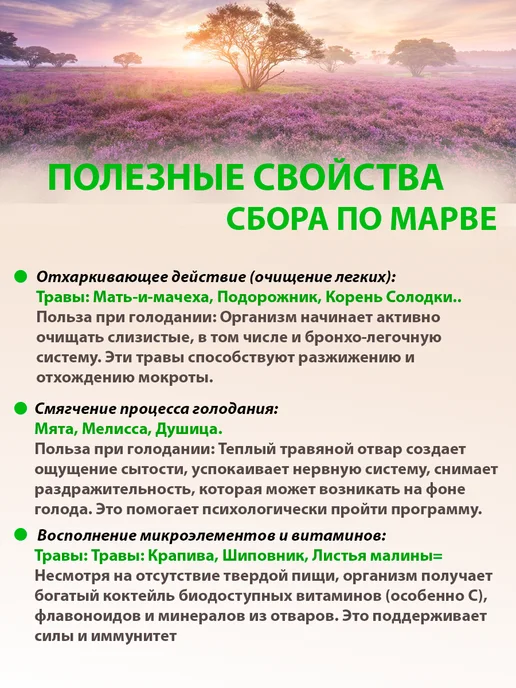 Дикополезно Травяной сбор для очищения организма по Марва Оганян, вариант, фото 2