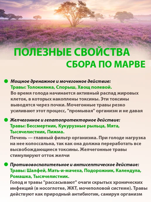 Дикополезно Травяной сбор для очищения организма по Марва Оганян, вариант, фото 3