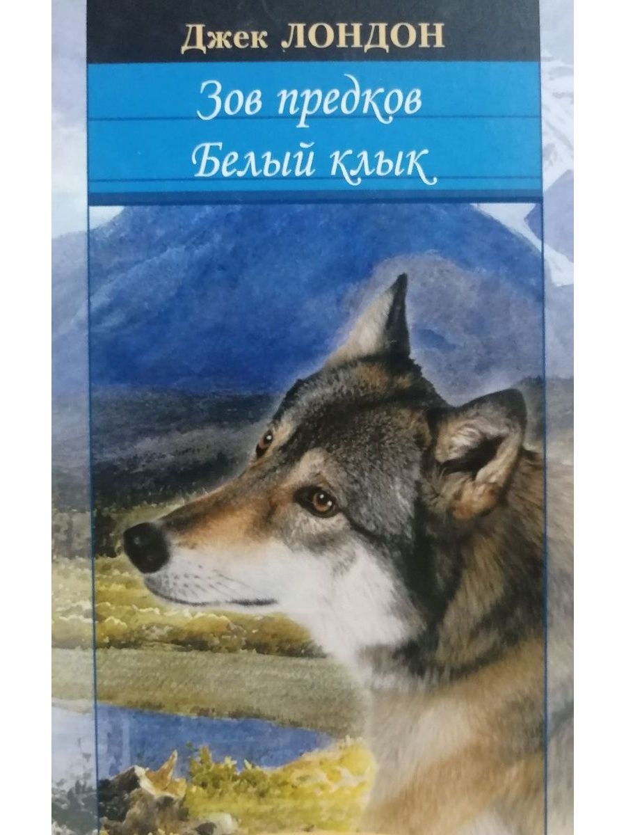 Белый клык джека лондона читать краткое. Джек Лондон белый клык Зов предков. Джек Лондон Зов предков бэк. Белый клык. Зов предков Джек Лондон книга. Джек Лондон "белый клык".