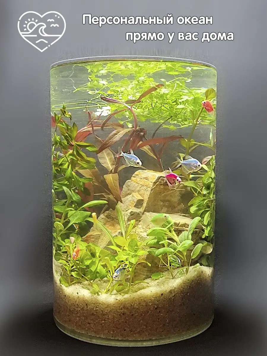 Круглый аквариум: оформление,уход,дизайн,фото,видео. | АКВАРИУМНЫЕ РЫБКИ