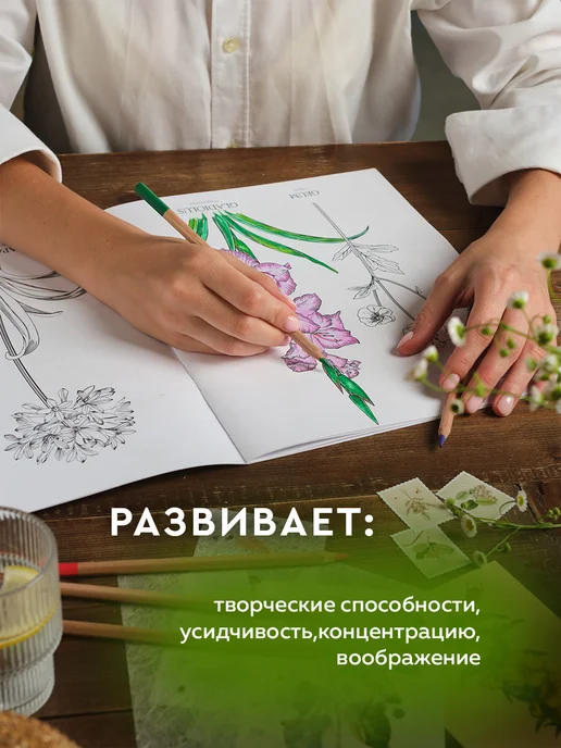 ЖЁЛУДЬ Ботаника. Раскраска антистресс цветы для взрослых и детей, вариант, фото 3