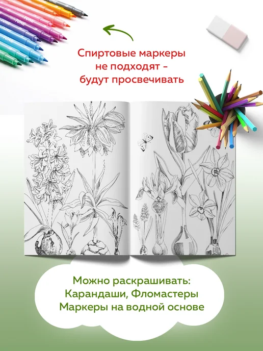 ЖЁЛУДЬ Ботаника. Раскраска антистресс цветы для взрослых и детей, вариант, фото 7