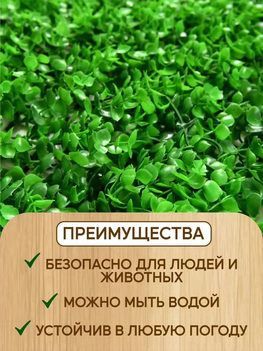 Искусственная трава газон Самшитовый коврик AkSi 147698702 купить за 3 212  ₽ в интернет-магазине Wildberries