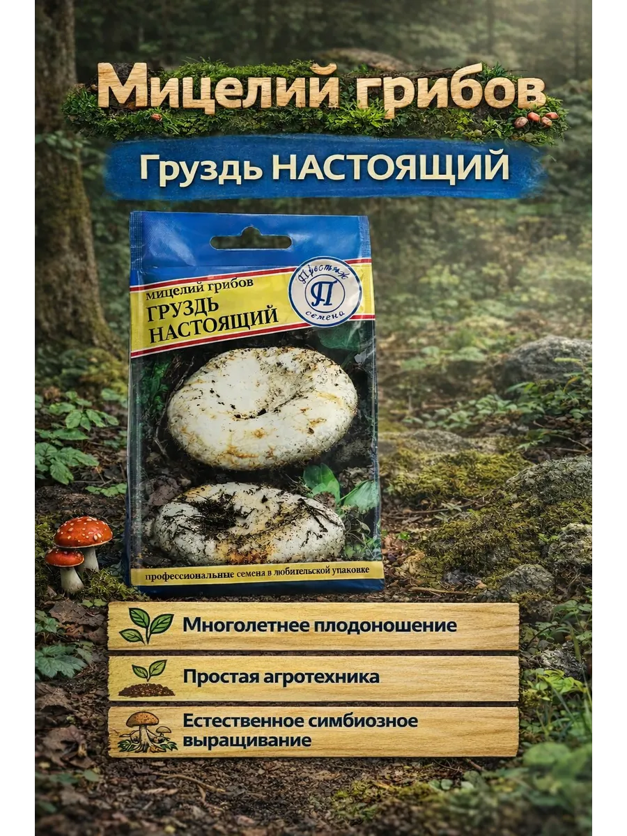 Мицелий грибов Груздь настоящий, 50 мл