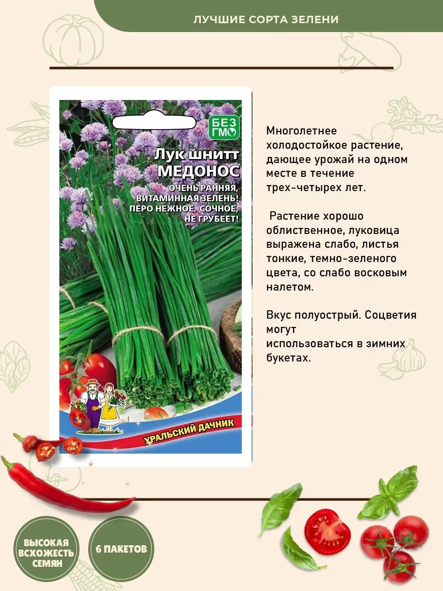 Набор семян салат укроп рукола кинза петрушка Семена зелени Уральский  Дачник 147818179 купить в интернет-магазине Wildberries