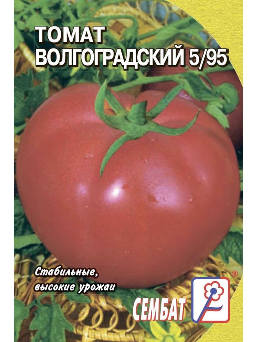 Томаты волгоградские описание. Томат Волгоградский Урожайный. Томат Волгоградский 5/95. Томат Волгоградский позднеспелый. Томат Волгоградский 595.
