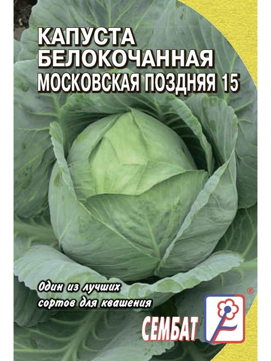 Капуста московская поздняя описание сорта отзывы. Капуста Московская поздняя. Семена капусты Московская поздняя. Капуста поздняя лучшие сорта. Капуста Московская поздняя 15.