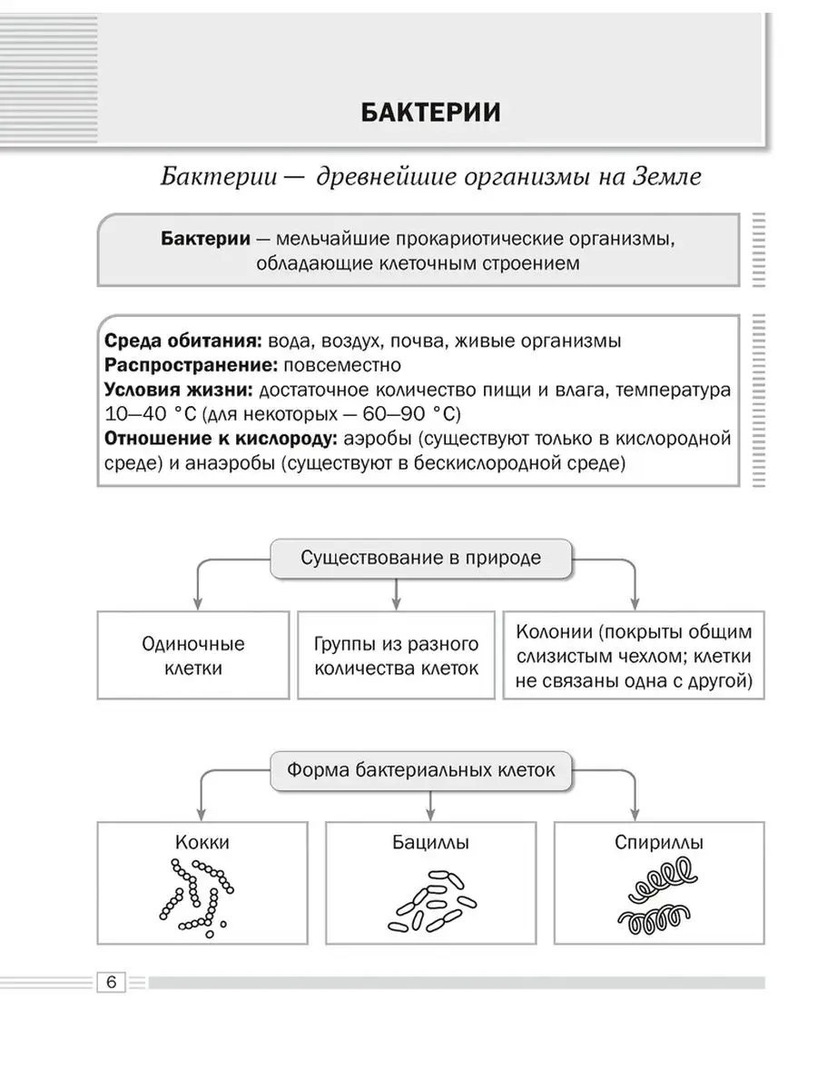 Биология 7 класс Опорные конспекты Схемы и таблицы Аверсэв 147857495 купить  за 252 ₽ в интернет-магазине Wildberries