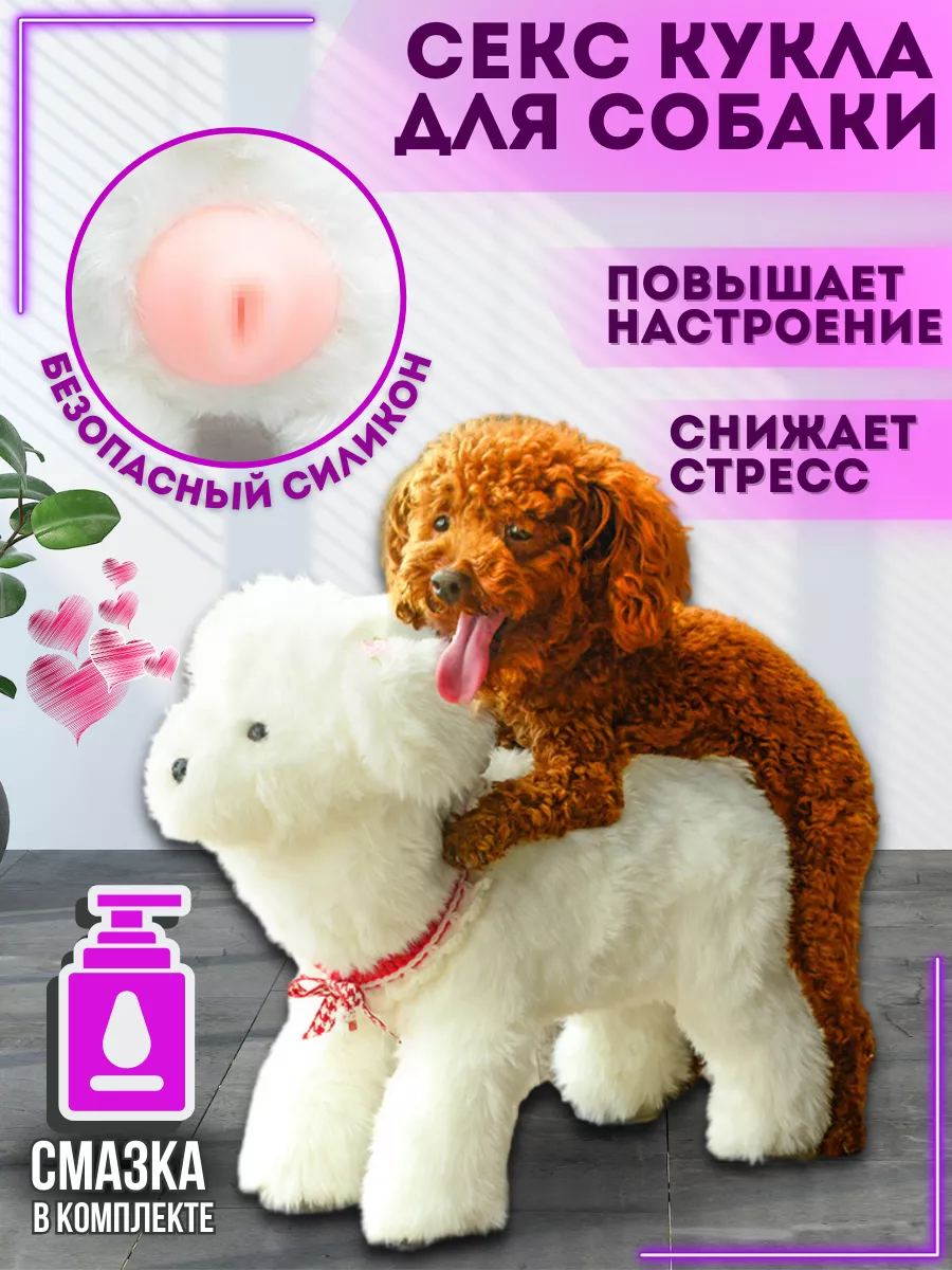 Секс-шоп в Санкт-Петербурге (СПб) - интим магазин секс игрушек для взрослых с доставкой
