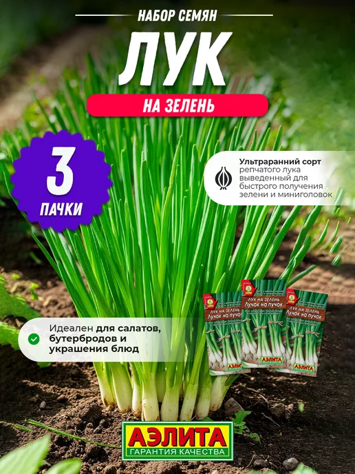Агрофирма АЭЛИТА Семена лука на перо Лучок - 3 шт, 3 шт