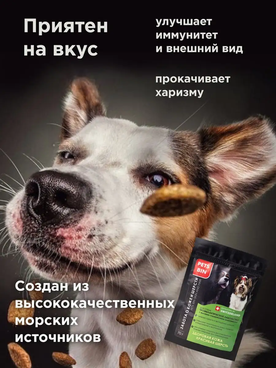 Витамины хондропротектор для собак все породы, для шерсти Pets Bin  147965430 купить за 975 ₽ в интернет-магазине Wildberries