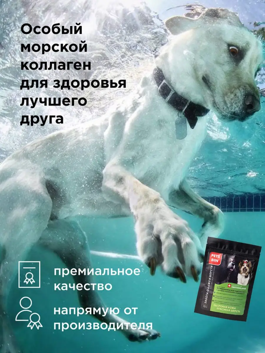 Витамины хондропротектор для собак все породы, для шерсти Pets Bin  147965430 купить за 996 ₽ в интернет-магазине Wildberries