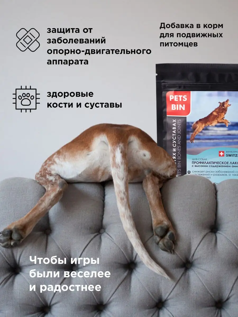 Ветаптека витамины для собак все породы, комплекс суставы Pets Bin  147965433 купить за 993 ₽ в интернет-магазине Wildberries