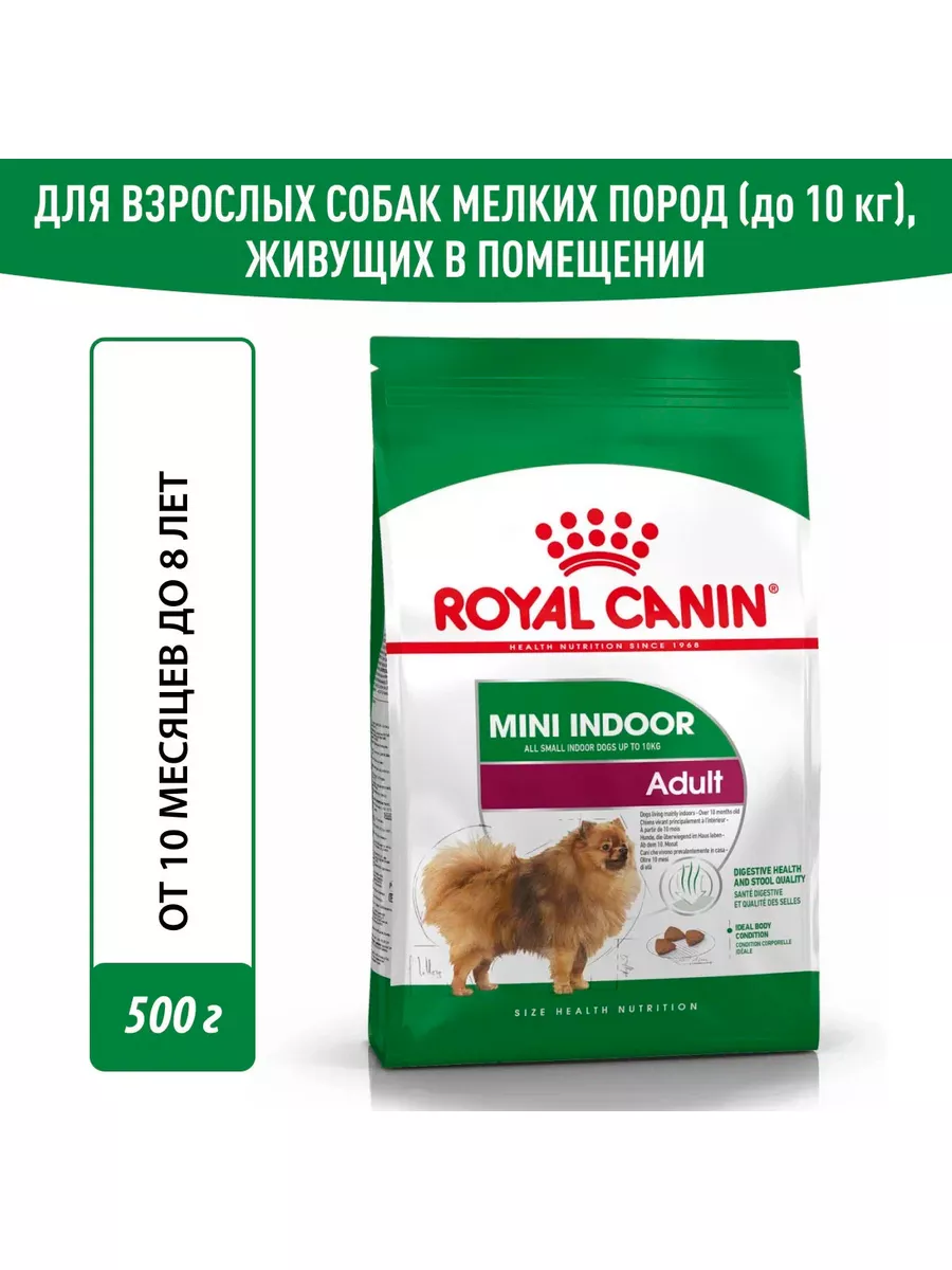 Royal canin best sale indoor mini