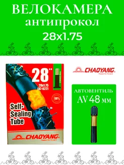 Велокамера 28*1.75/2.125 (40/47-622) Aнтипрокольная AV48мм C CHAOYANG 148020007 купить за 478 ₽ в интернет-магазине Wildberries